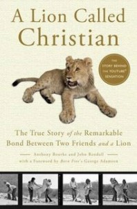 a_lion_called_christian